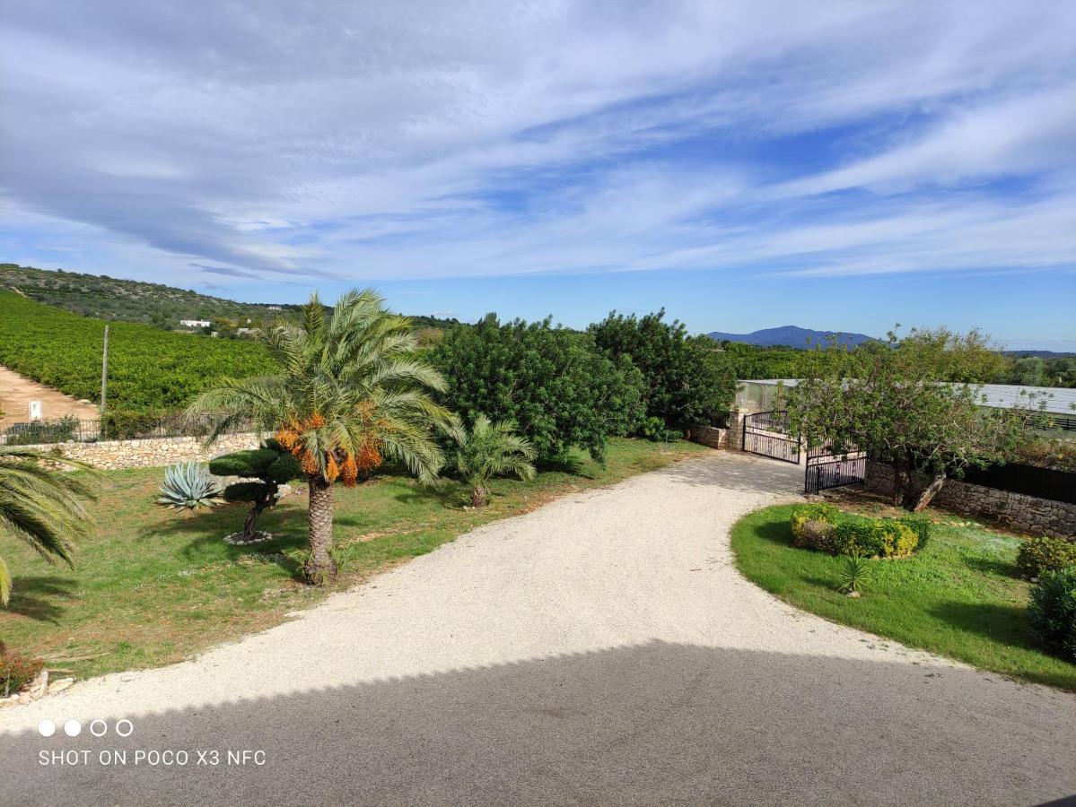 Finca Tierra Roja Cálig Esterno foto